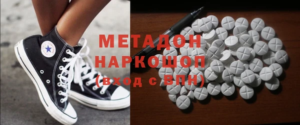 прущие грибы Аркадак