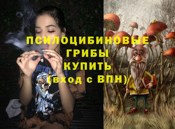 СК Армянск