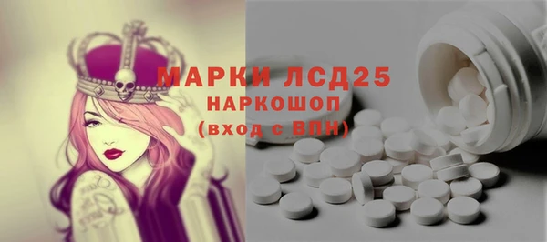 прущие грибы Аркадак