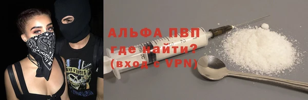 прущие грибы Аркадак