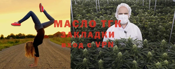 прущие грибы Аркадак
