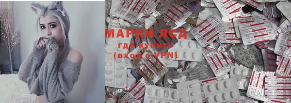 гидра Пестово