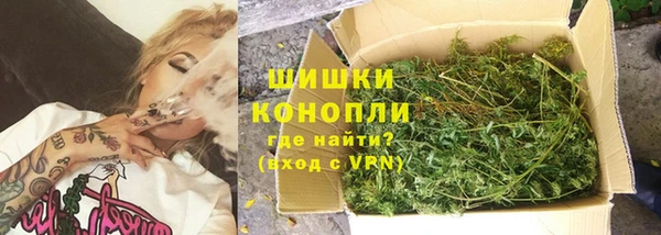 прущие грибы Аркадак