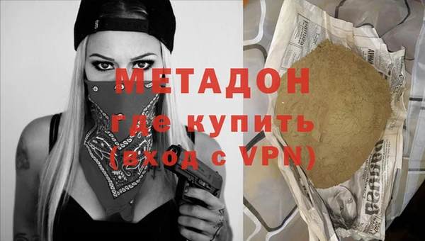 прущие грибы Аркадак