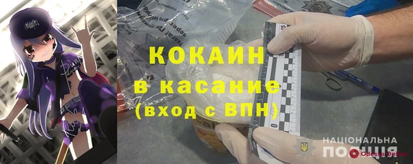 прущие грибы Аркадак
