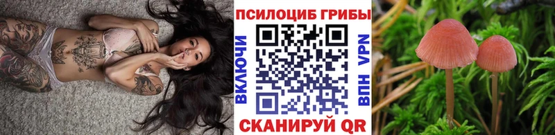 Галлюциногенные грибы Cubensis  Приволжск 